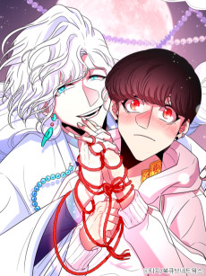 운명론적 파트너