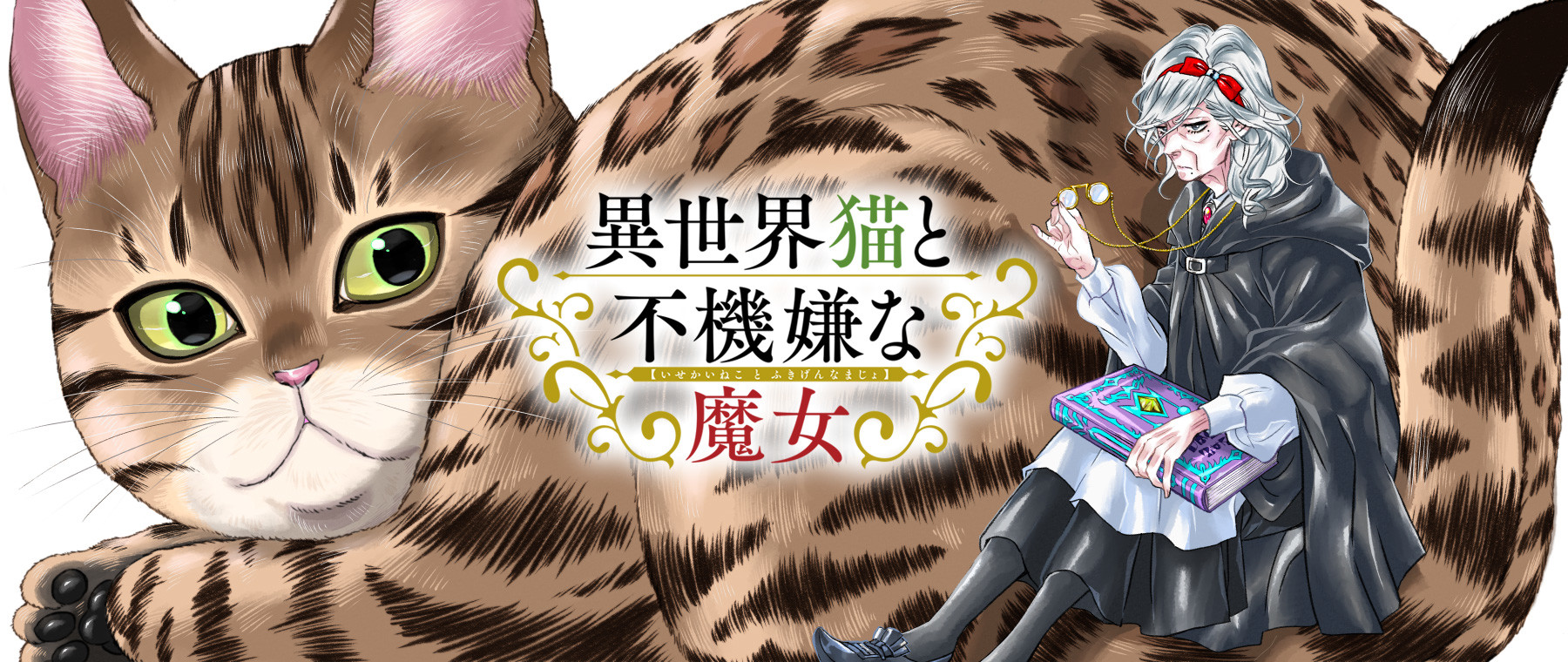 異世界猫と不機嫌な魔女