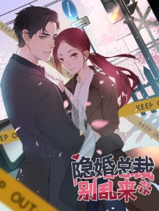 隐婚总裁别乱来