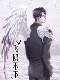 飞鸥不下