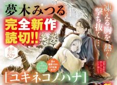 ユキネコノハナ