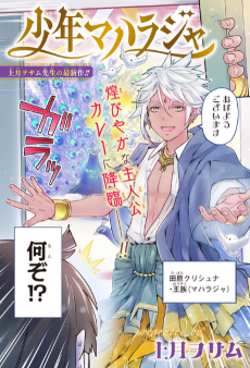 少年マハラジャ