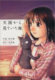 天国から見ていた海
