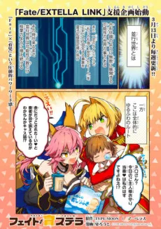 フェイト／育ステラ