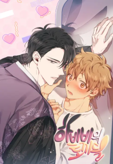 하비비의 토끼들