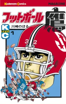 フットボール鷹