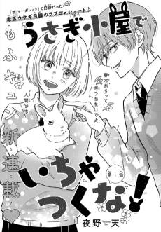 うさぎ小屋でいちゃつくな！