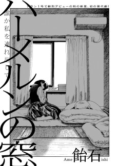 ハーメルンの窓