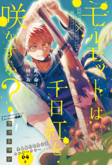 モルモットは千日紅を咲かすか？