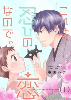 これは、忍びの恋なので。