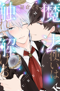 魔法使いは触れて解ける