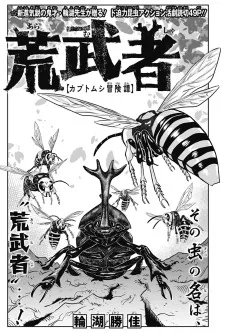 荒武者【カブトムシ冒険譚】