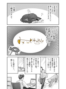 連載まんが 猫を拾った話。