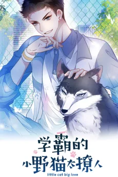 学霸的小野猫太撩人