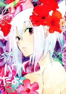 2010年冬の旅 ハワイだよ