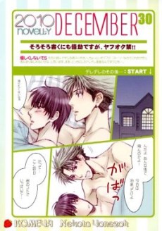 2010 novelty DECEMBER 30