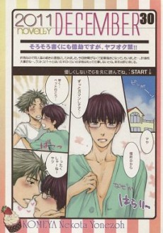 2011 novelty DECEMBER 30