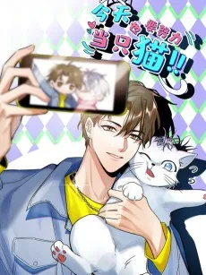 今天也要努力当只猫