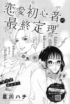 恋愛初心者の最終定理