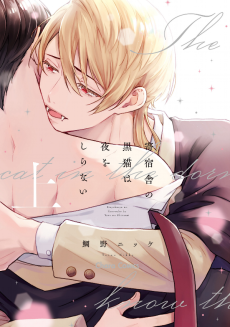 寄宿舎の黒猫は夜をしらない