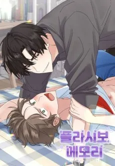 플라시보 메모리