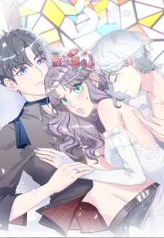 我的未婚夫候选人