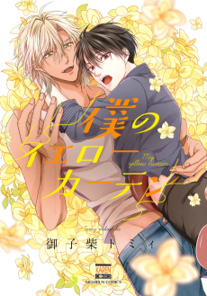 僕のイエローカーテン