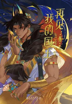 再见，我的国王