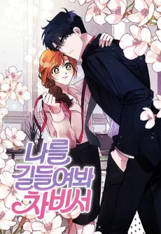 나를 길들여 봐, 차비서