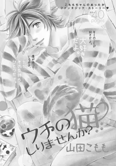 ウチの猫しりませんか?