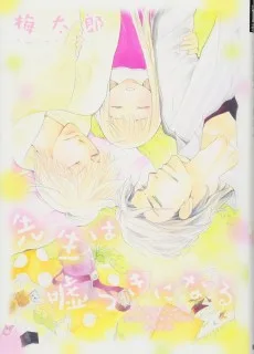 先生は嘘つきになる