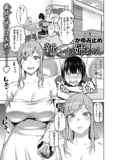新しいお姉ちゃん