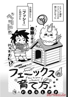 フェニックスの育て方