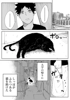 どうしても人間のお嫁さんになりたい化け猫のお話