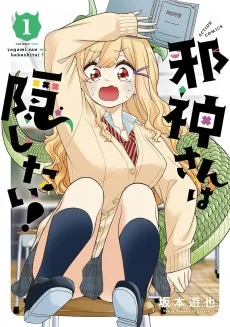 邪神さんは隠したい‼︎