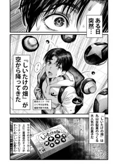 しいたけの畑の降る世界