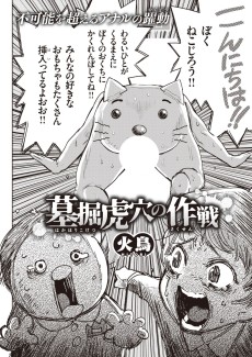 墓堀虎穴の作戦