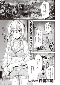 透けて固めて台風一過