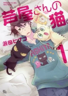 芦屋さんの猫。