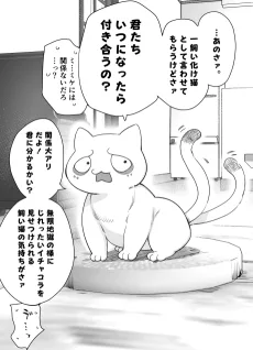 負けヒロインだけどめげない化け猫ちゃん