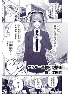 ヤンキー高校にお嬢様