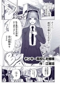 ヤンキー高校にお嬢様