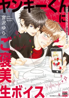 ヤンキーくんにご褒美生ボイス