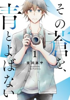 その蒼を、青とよばない