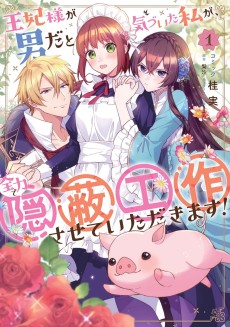 王妃様が男だと気づいた私が、全力で隠蔽工作させていただきます！