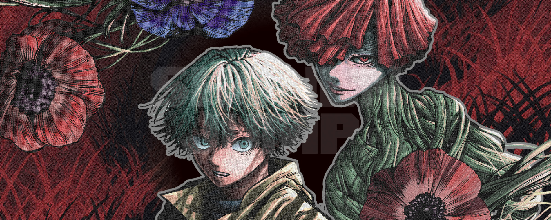 ディアーアネモネ