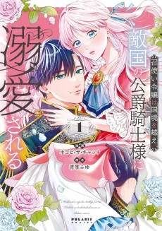 召使い令嬢は国境を越え、敵国の公爵騎士様に溺愛される