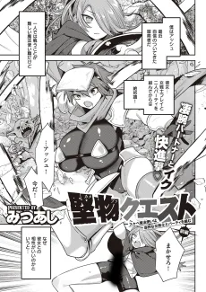 堅物クェスト ~スケベ魔法使いは寡黙な女戦士とパーティを組む~