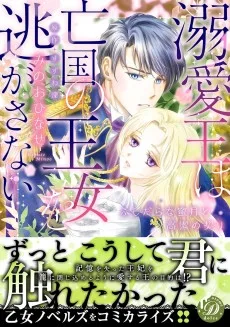 溺愛王は亡国の王女を逃がさない～ふしだらな蜜月と高潔の契り～