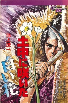 土中に咲いた白い花